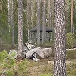Villa Arctic Stillness Rovaniemi