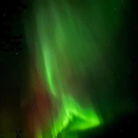 Arctic Stillness Rovaniemi