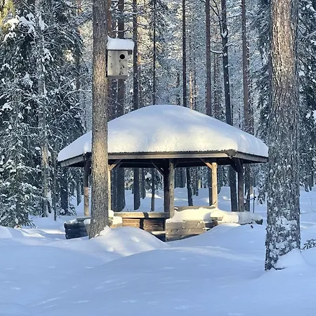 Arctic Stillness *