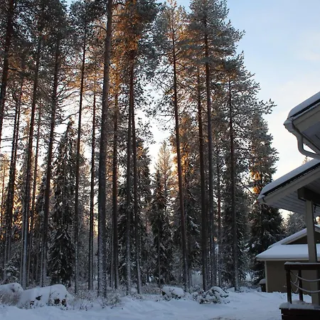 Arctic Stillness