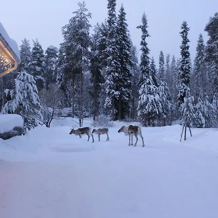 Arctic Stillness