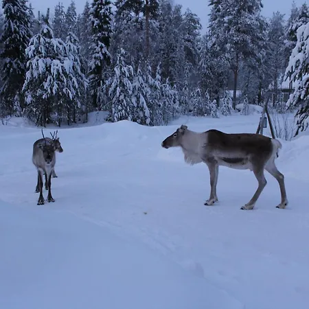 别墅 Arctic Stillness *