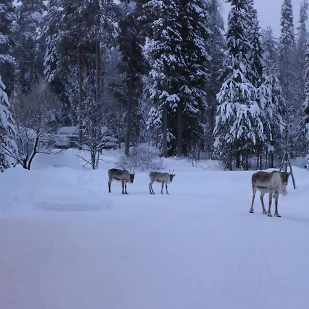 Villa Arctic Stillness Rovaniemi