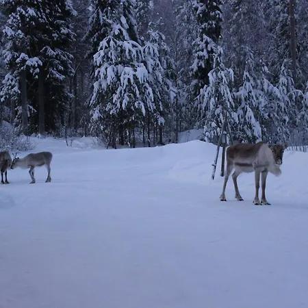 别墅 Arctic Stillness *