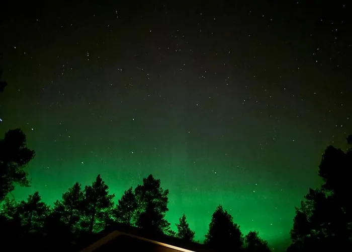 Arctic Stillness 罗瓦涅米