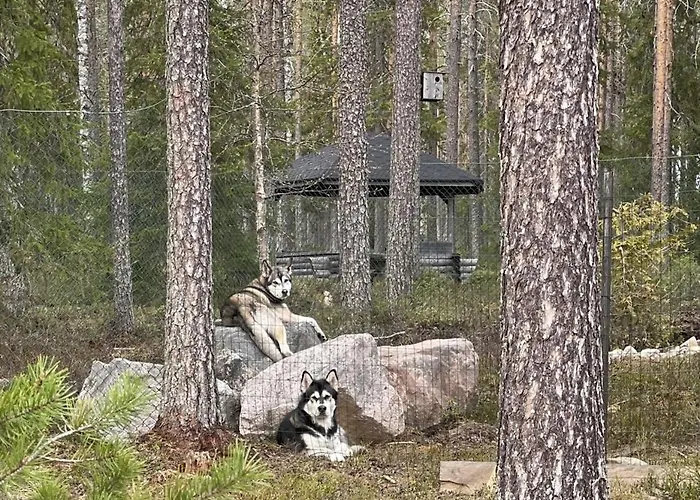 别墅 Arctic Stillness 罗瓦涅米