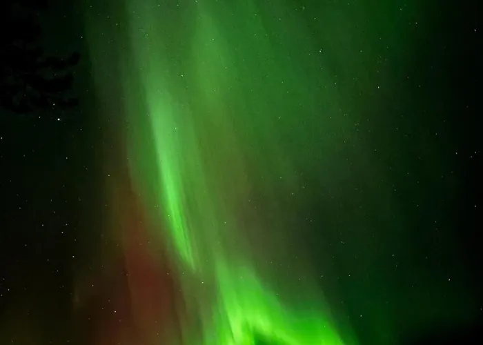 Arctic Stillness 罗瓦涅米