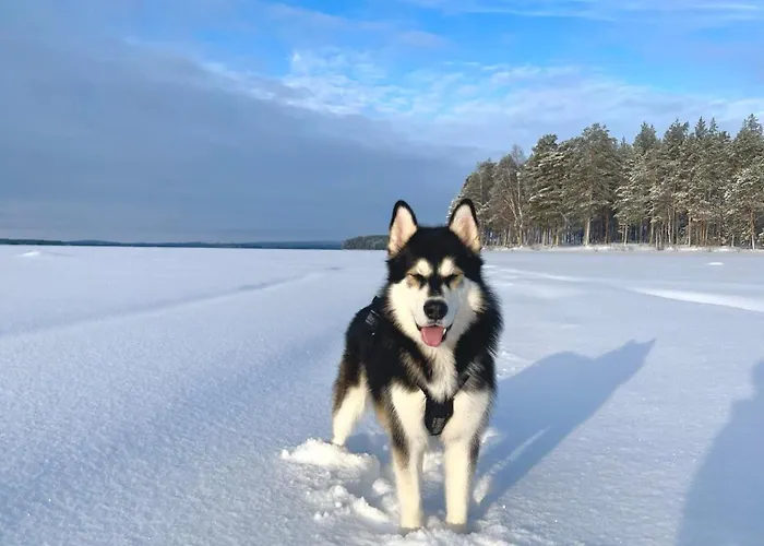 别墅 Arctic Stillness *