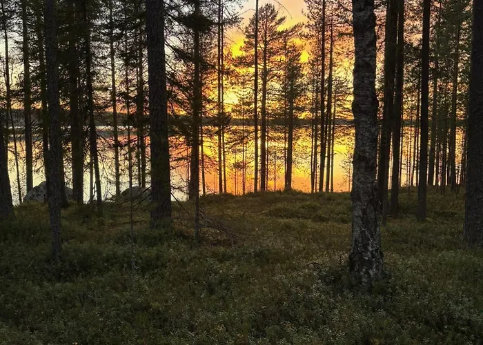 Arctic Stillness 别墅