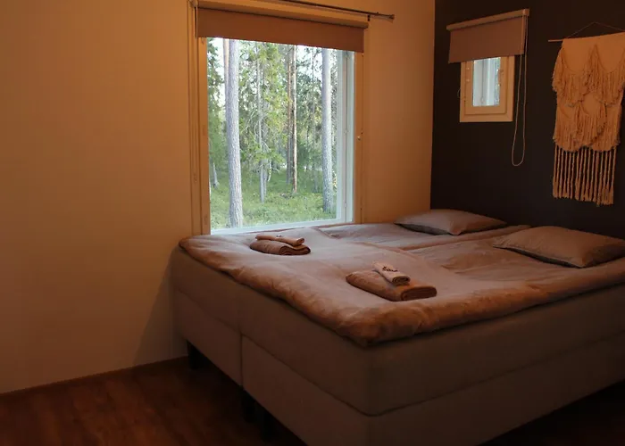 Arctic Stillness 罗瓦涅米