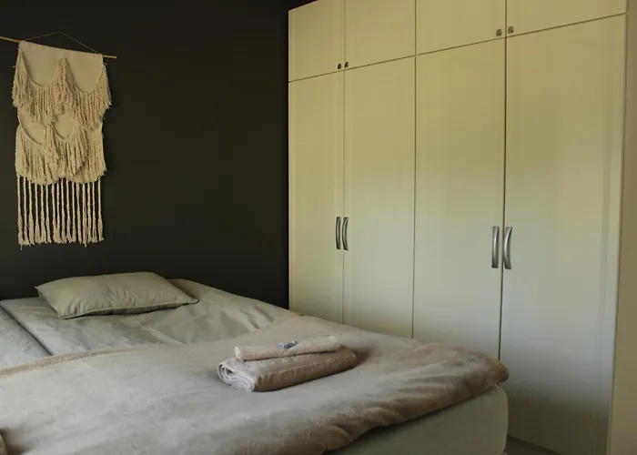 Arctic Stillness 别墅 罗瓦涅米