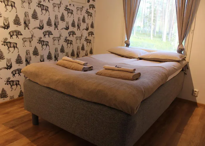 Arctic Stillness * 罗瓦涅米