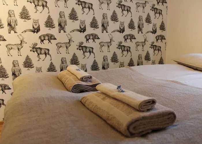 别墅 Arctic Stillness 罗瓦涅米