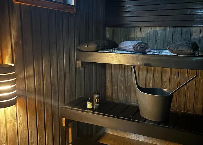 Arctic Stillness 别墅 罗瓦涅米