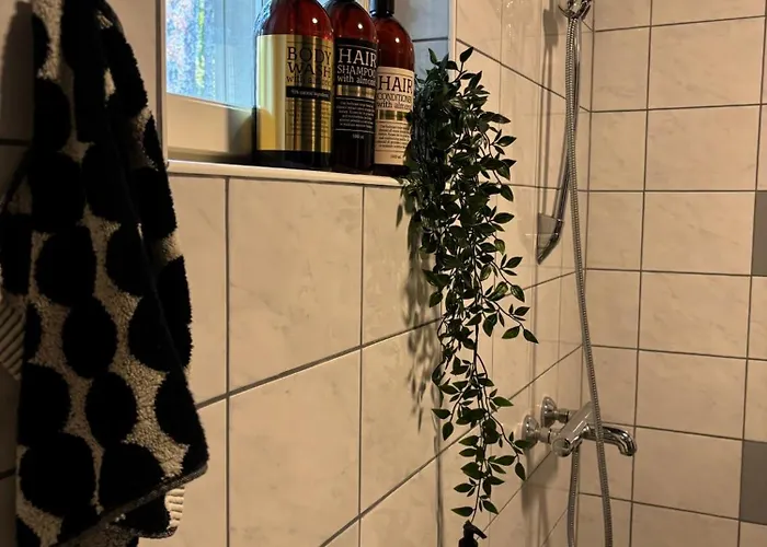 Arctic Stillness 罗瓦涅米