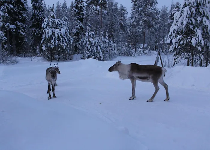 别墅 Arctic Stillness *