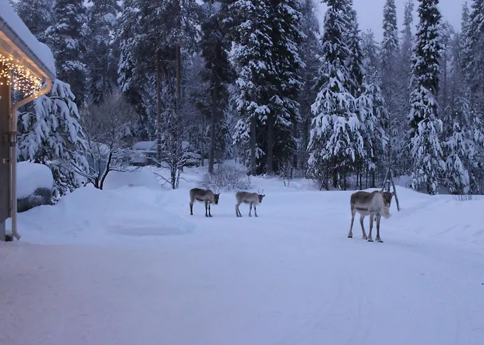 别墅 Arctic Stillness 罗瓦涅米